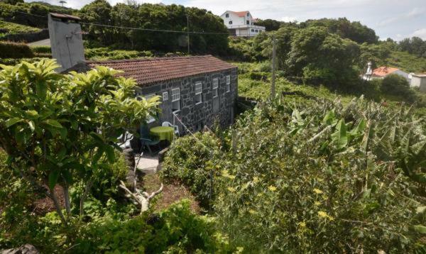 Hotel Adega Do Gato Calhau Exterior foto