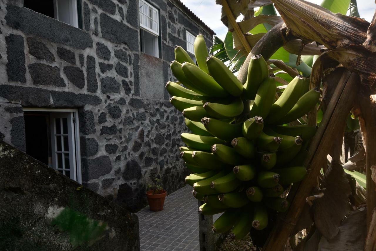 Hotel Adega Do Gato Calhau Exterior foto